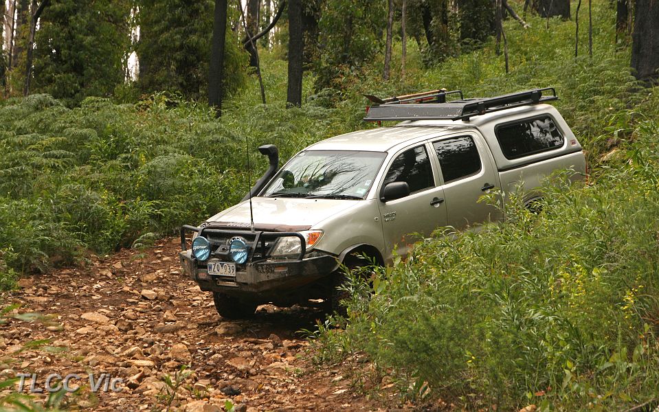 01-Marvin negotiates a switchback on Strickland Link Trk.JPG